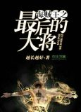 海贼王之最强海军大将